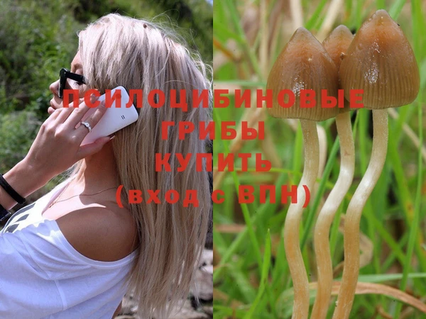 бошки Абинск