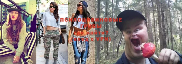 spice Абаза