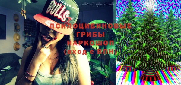 бошки Абинск