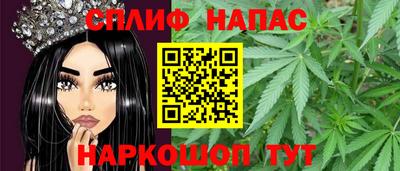 прущие грибы Можайск