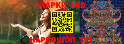 прущие грибы Можайск