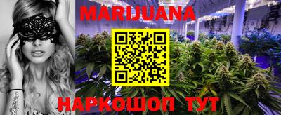 прущие грибы Можайск