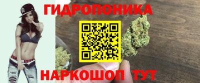 ГАЛЛЮЦИНОГЕННЫЕ ГРИБЫ Можга