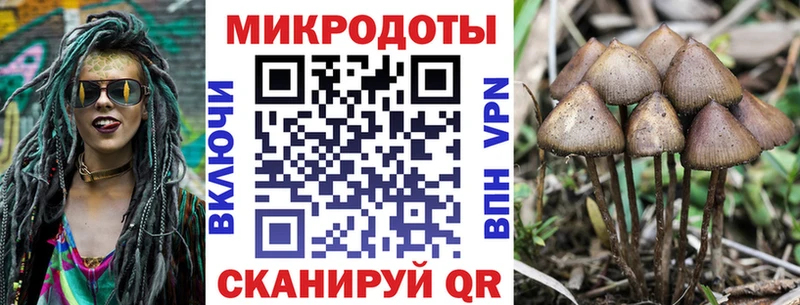 Галлюциногенные грибы Cubensis Бугуруслан
