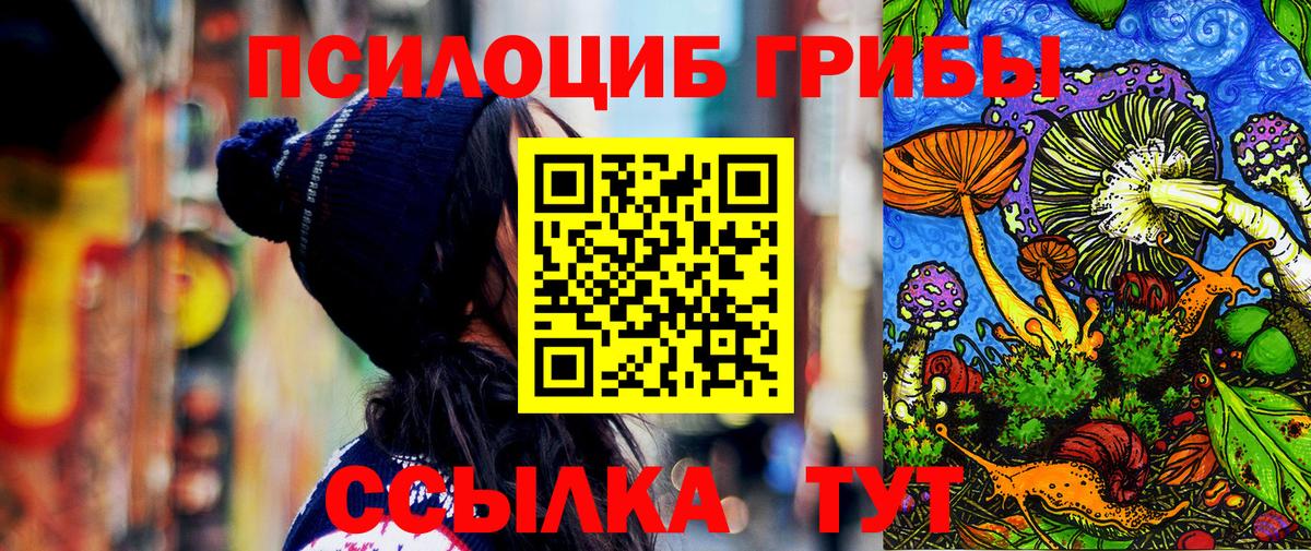 Псилоцибиновые грибы мицелий  Вход с VPN  Бугуруслан 